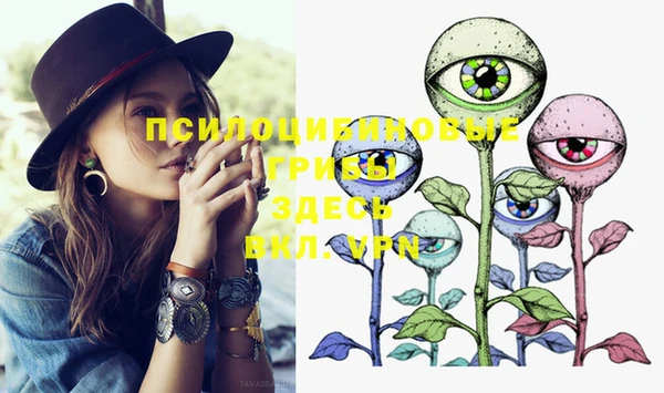 ПСИЛОЦИБИНОВЫЕ ГРИБЫ Горняк