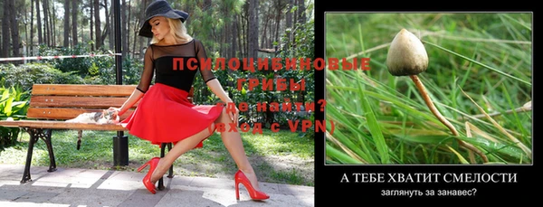 сатива Горнозаводск