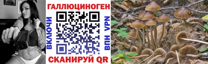 Псилоцибиновые грибы Cubensis  Купить где  Новочебоксарск 
